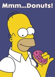 homer_starstore500x704.jpg