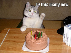 BirthdayCat.jpg