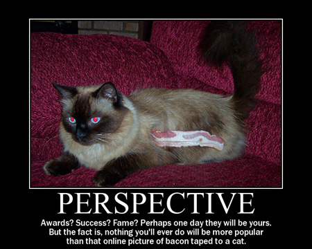 perspectivecat.jpg