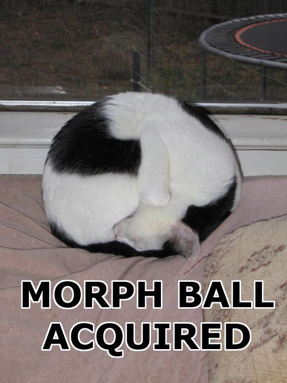 morph-ball.jpg