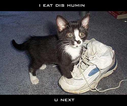 i-eat-dis-humin.jpg